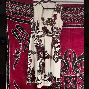 Enfocus Studio Dress.